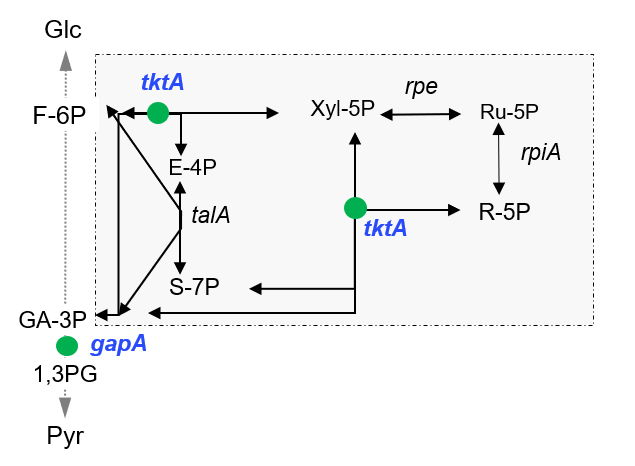 rytter et al 2021